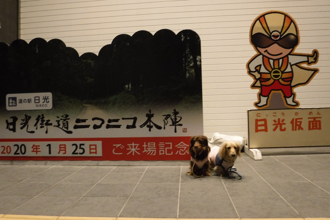 f:id:hirotaka72:20200125182049j:plain f:id:hirotaka72:20200125182049j:plain
