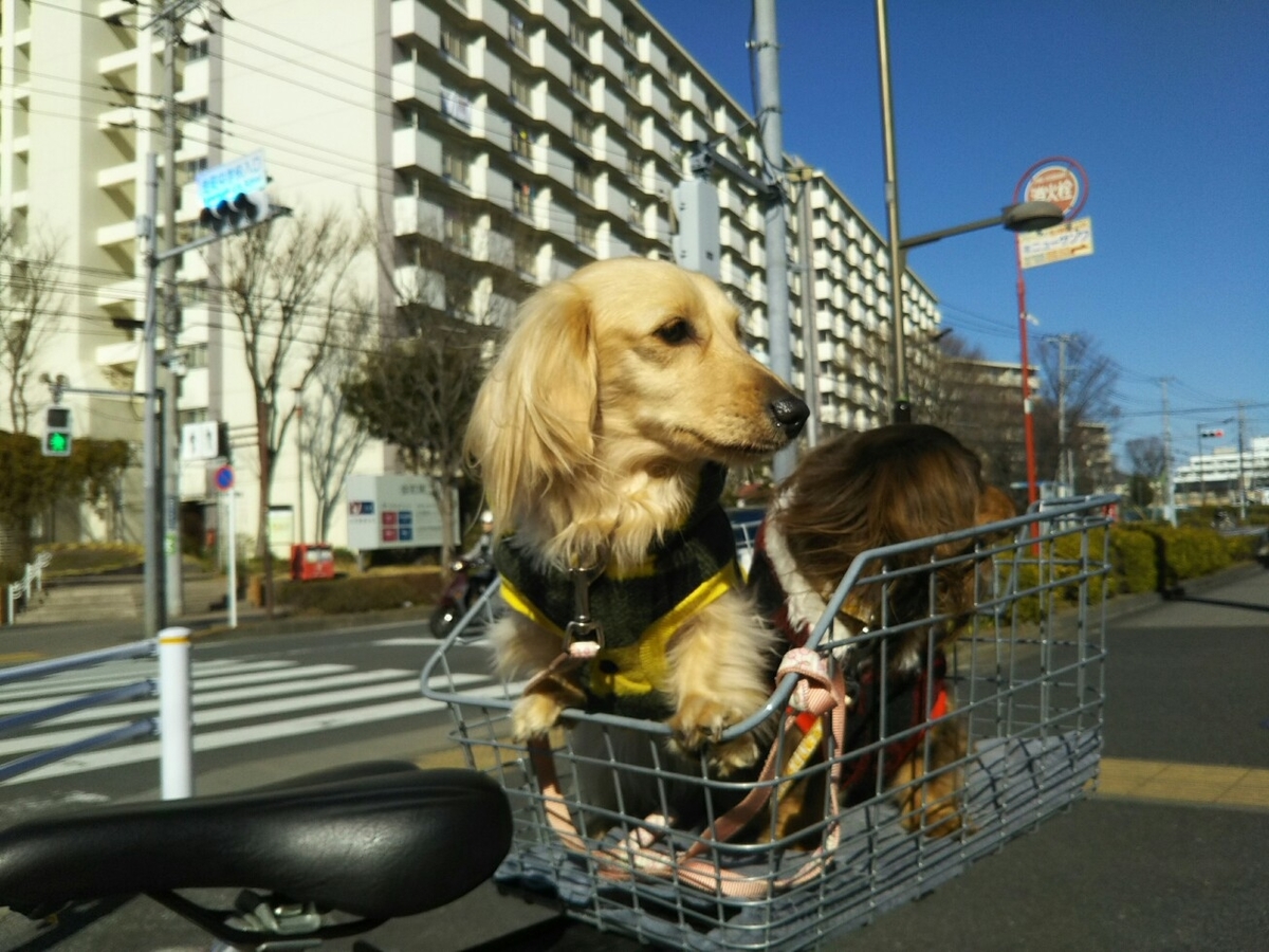 f:id:hirotaka72:20200202103326j:plain f:id:hirotaka72:20200202103326j:plain