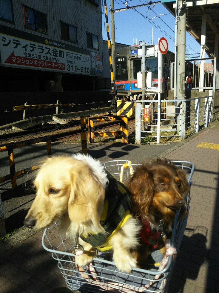 f:id:hirotaka72:20200202104235j:plain f:id:hirotaka72:20200202104235j:plain