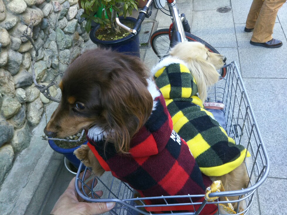 f:id:hirotaka72:20200202110314j:plain f:id:hirotaka72:20200202110314j:plain