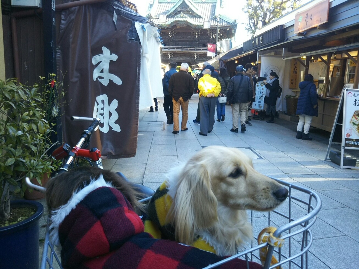 f:id:hirotaka72:20200202110345j:plain f:id:hirotaka72:20200202110345j:plain