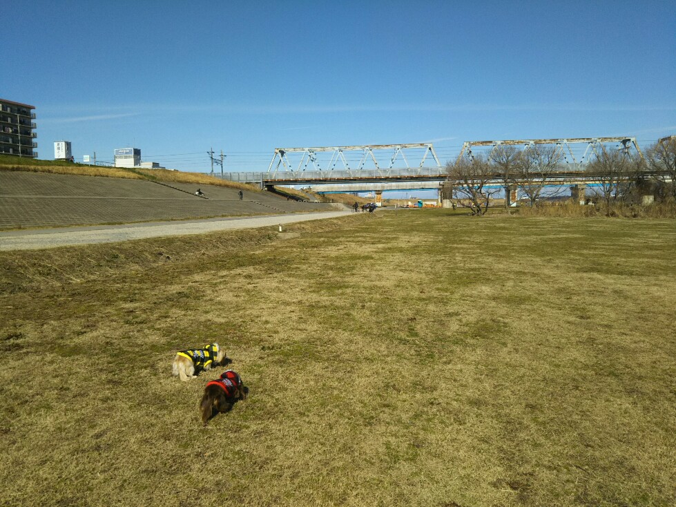 f:id:hirotaka72:20200202121711j:plain f:id:hirotaka72:20200202121711j:plain
