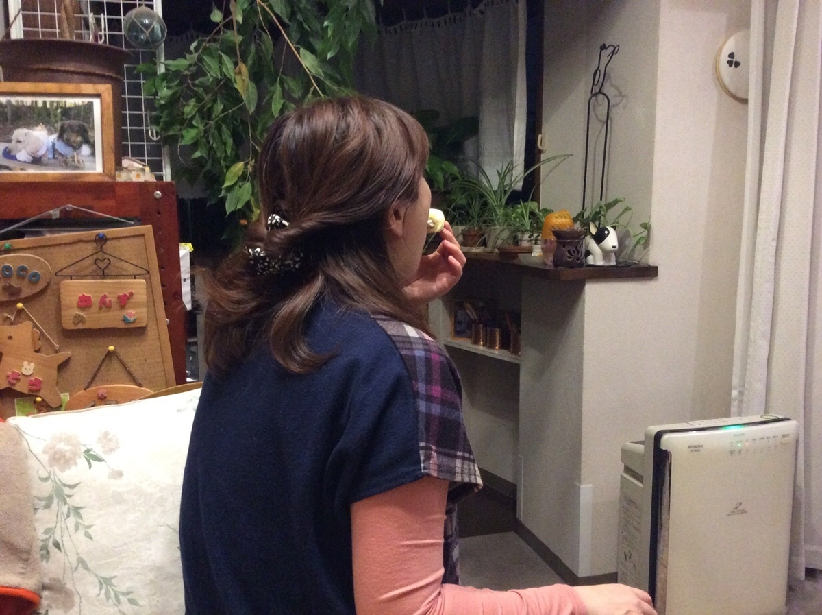 f:id:hirotaka72:20200203210609j:plain