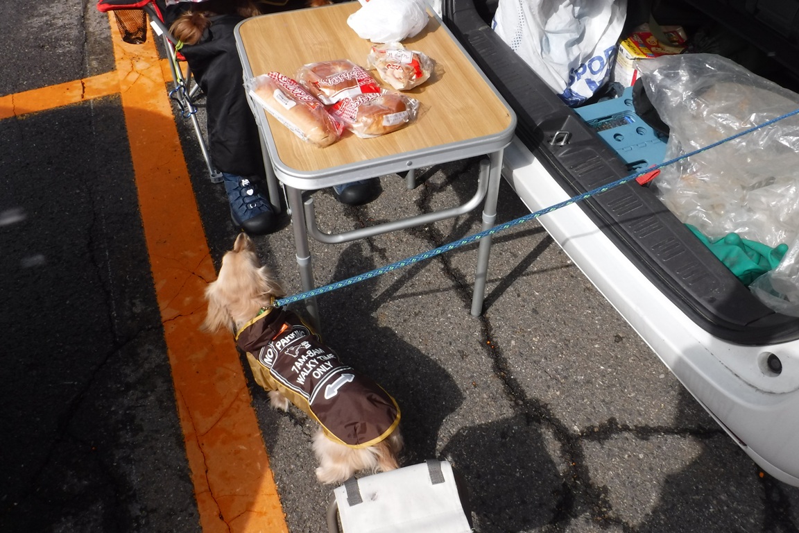 f:id:hirotaka72:20200208111553j:plain f:id:hirotaka72:20200208111553j:plain