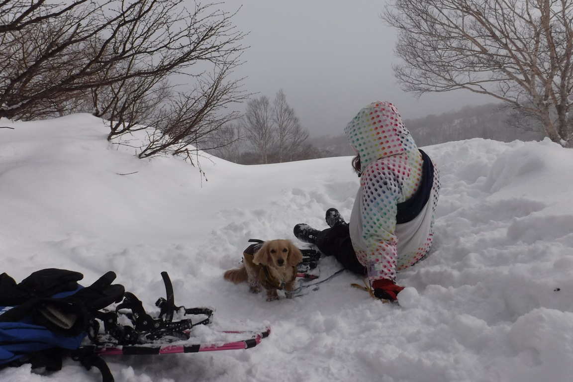 f:id:hirotaka72:20200208125341j:plain f:id:hirotaka72:20200208125341j:plain