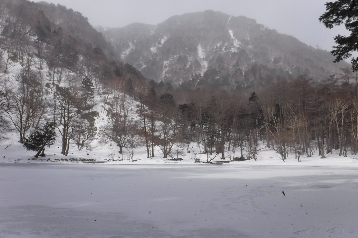 f:id:hirotaka72:20200209111636j:plain f:id:hirotaka72:20200209111636j:plain