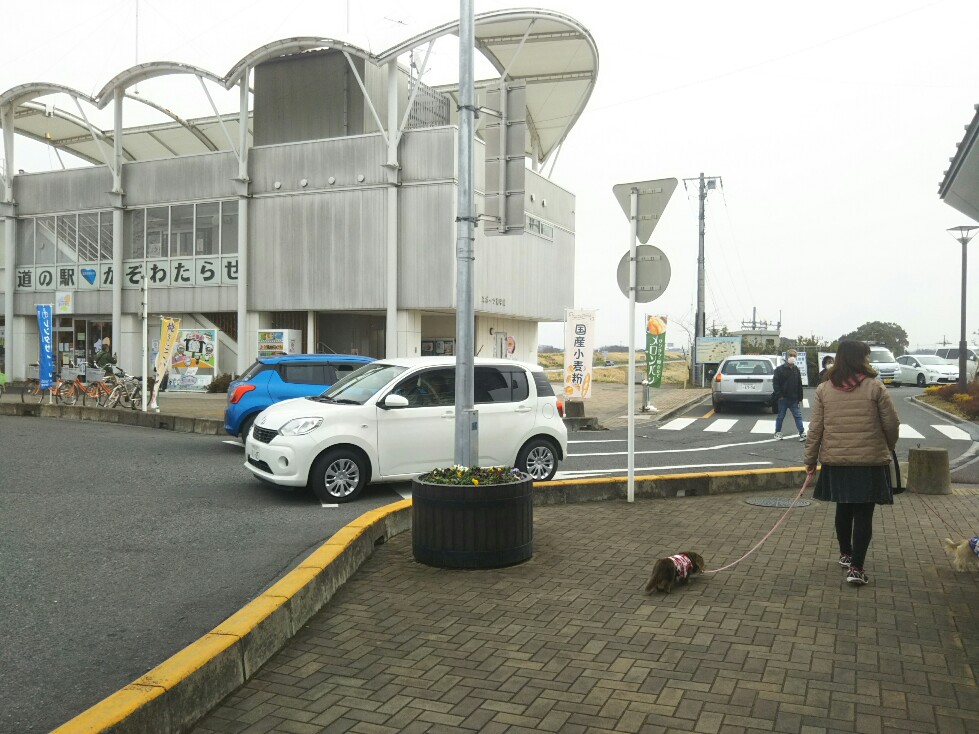 f:id:hirotaka72:20200215122953j:plain f:id:hirotaka72:20200215122953j:plain