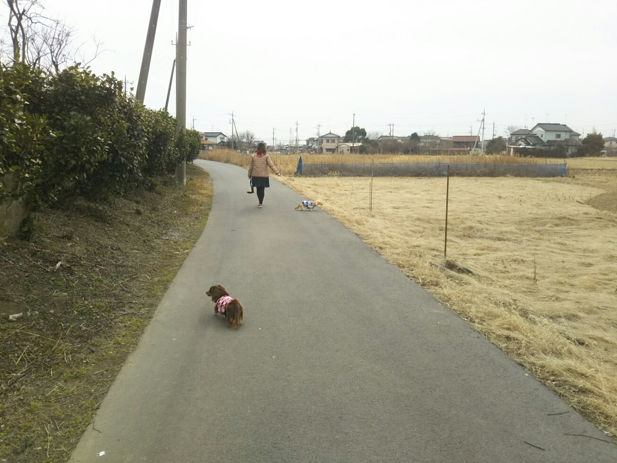f:id:hirotaka72:20200215124025j:plain f:id:hirotaka72:20200215124025j:plain