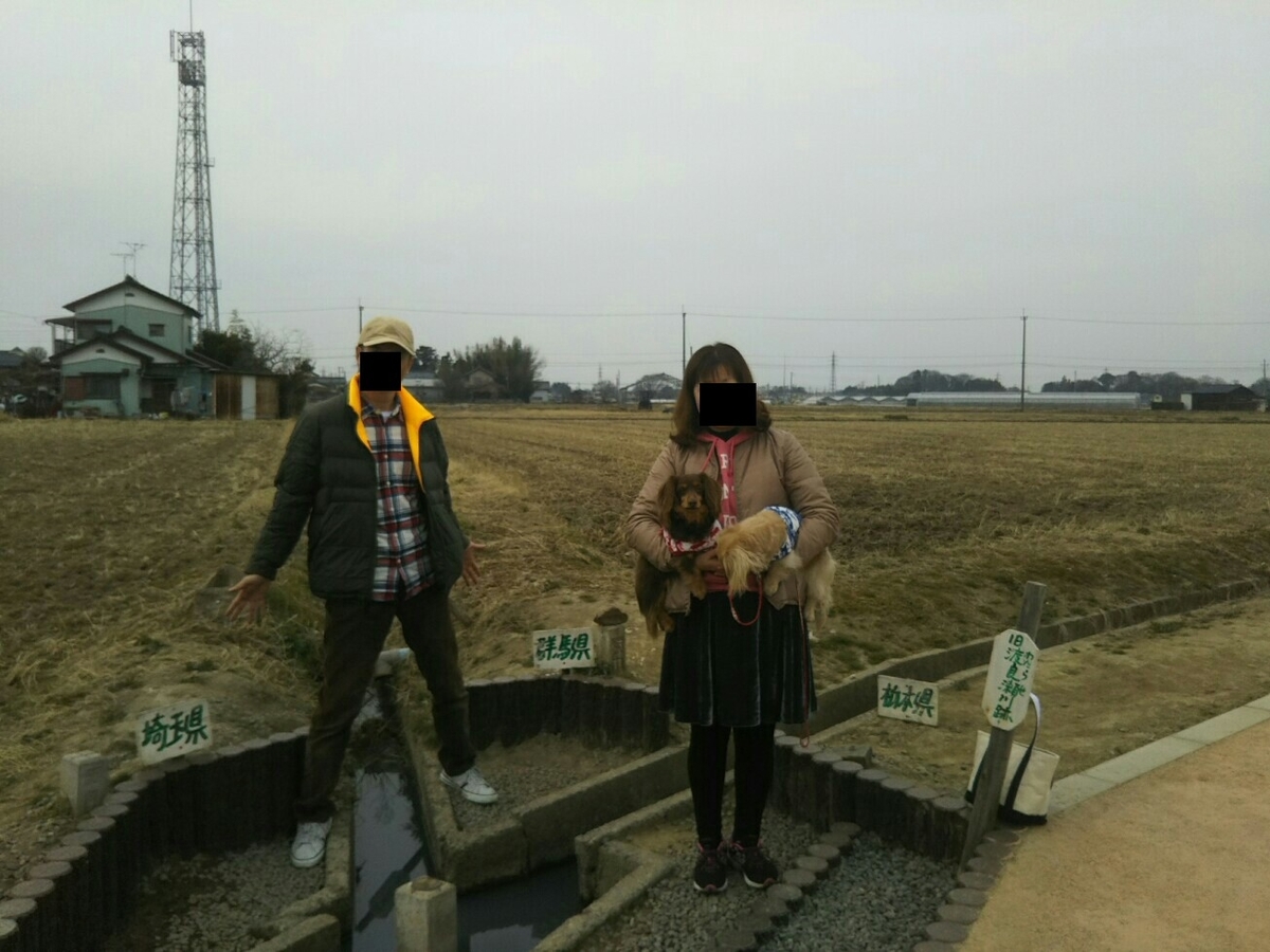 f:id:hirotaka72:20200215124631j:plain f:id:hirotaka72:20200215124631j:plain