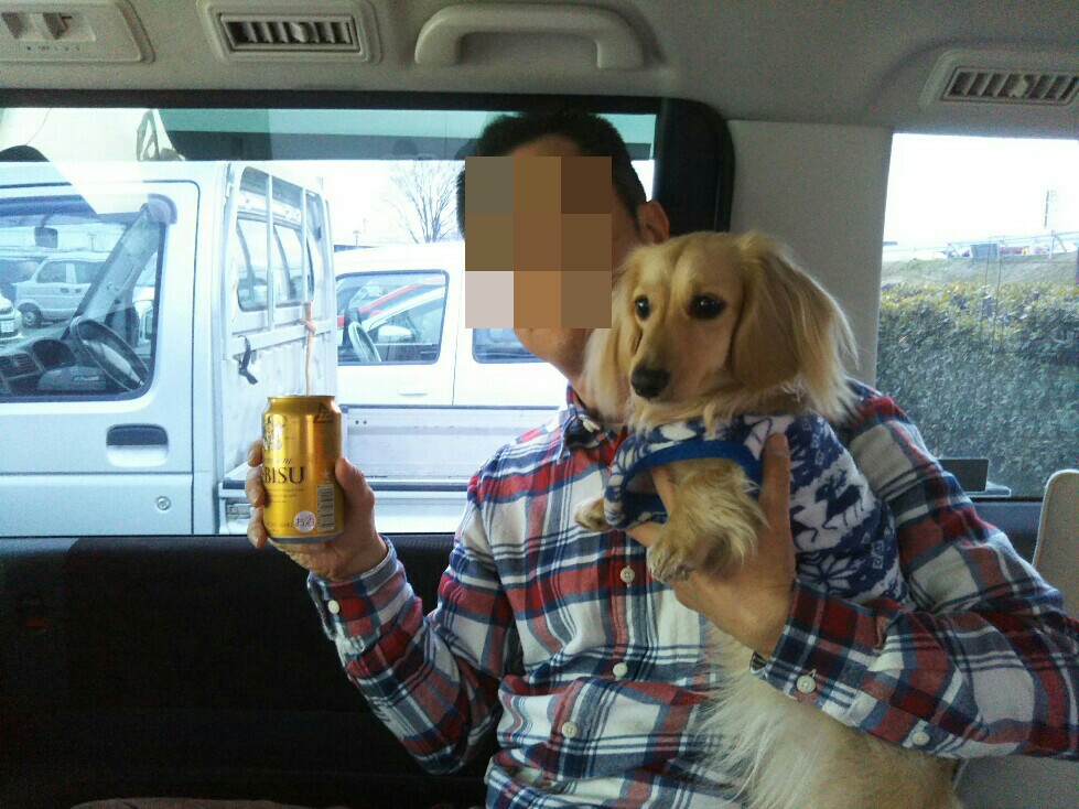 f:id:hirotaka72:20200215162750j:plain f:id:hirotaka72:20200215162750j:plain