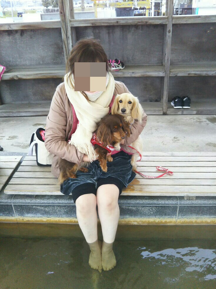 f:id:hirotaka72:20200216091216j:plain f:id:hirotaka72:20200216091216j:plain