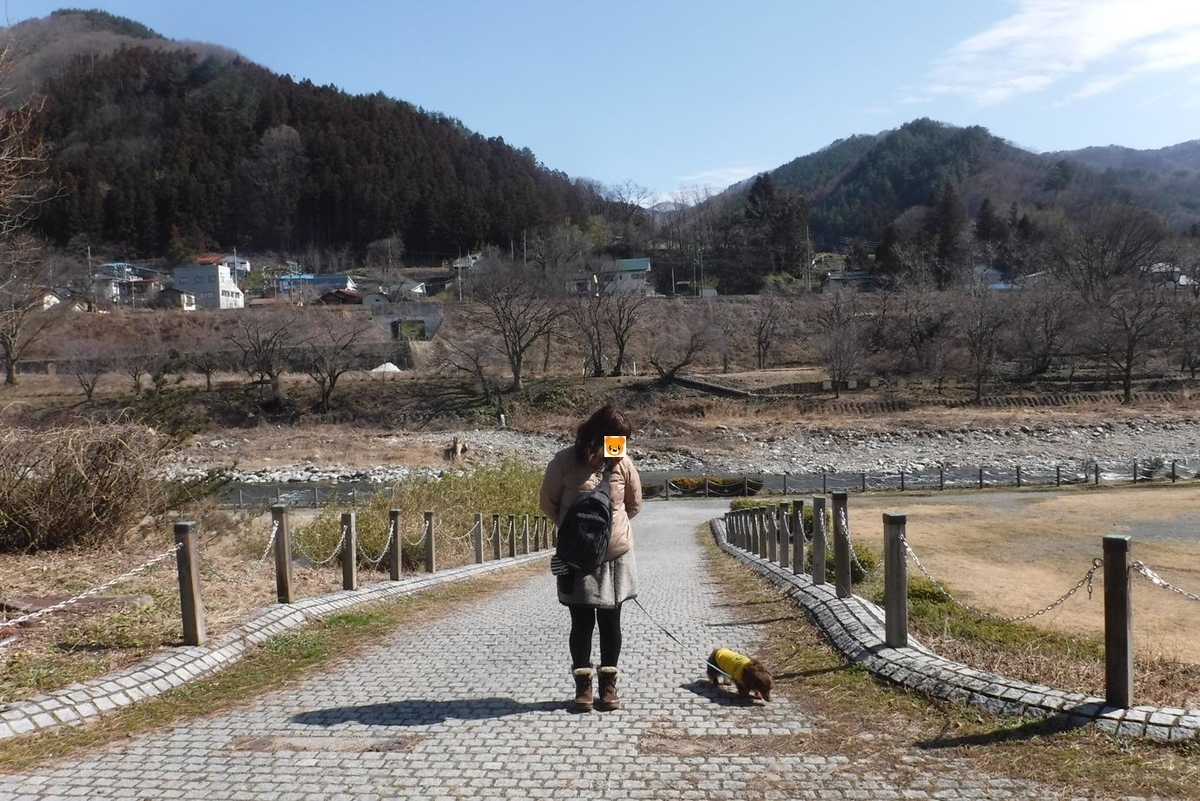 f:id:hirotaka72:20200222110906j:plain