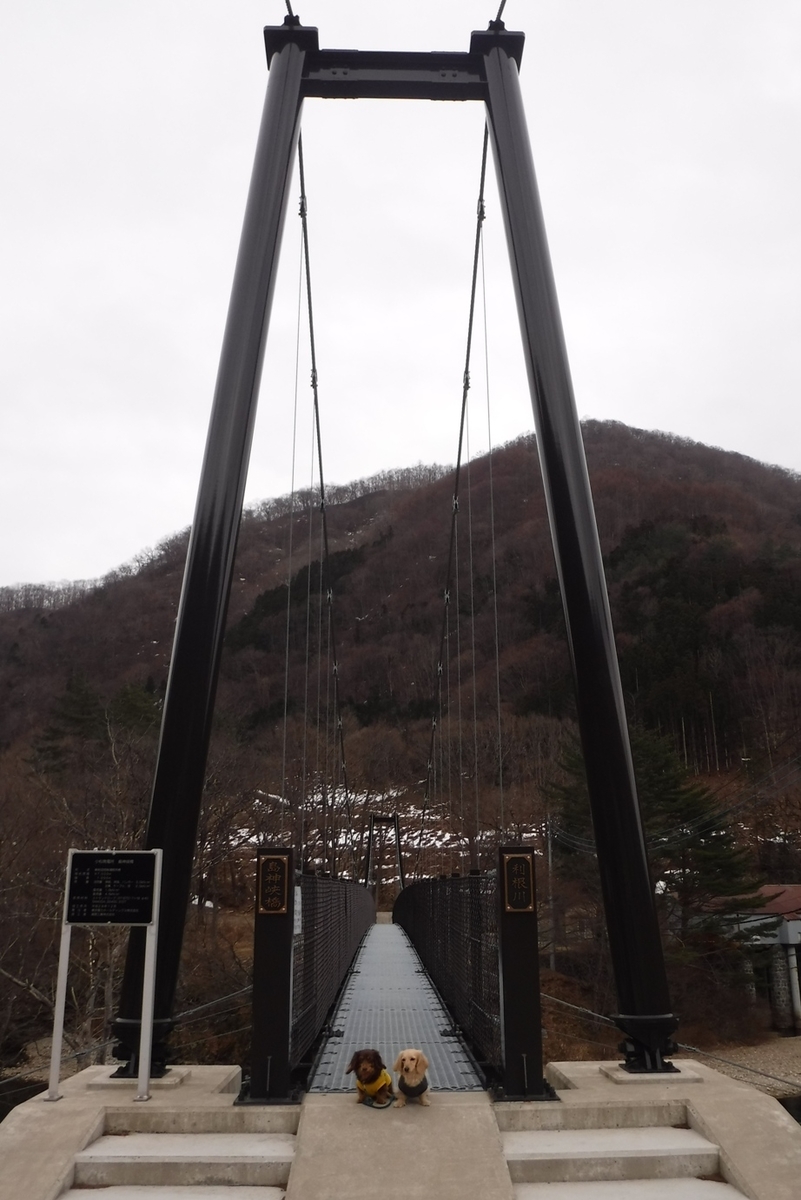 f:id:hirotaka72:20200222141015j:plain f:id:hirotaka72:20200222141015j:plain