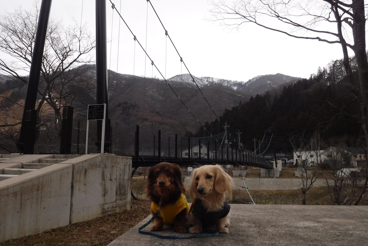 f:id:hirotaka72:20200222141307j:plain f:id:hirotaka72:20200222141307j:plain