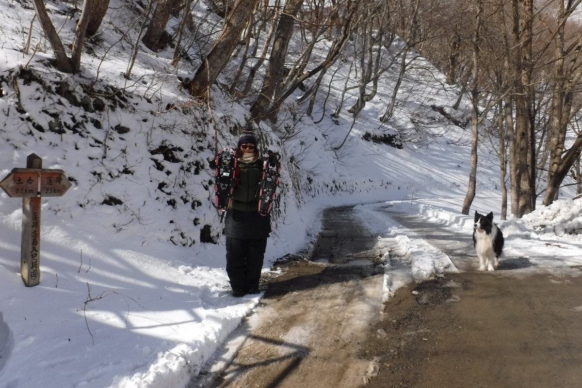 f:id:hirotaka72:20200224090806j:plain f:id:hirotaka72:20200224090806j:plain