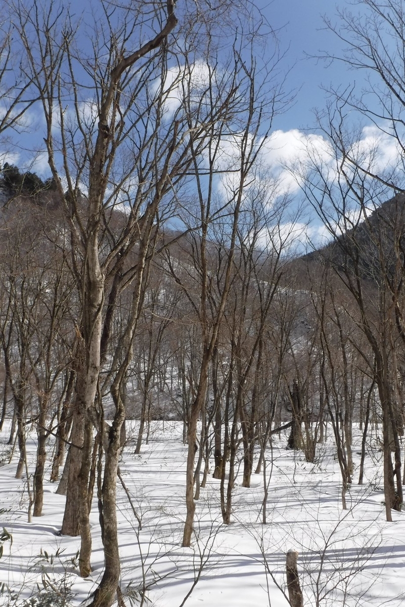 f:id:hirotaka72:20200224092747j:plain f:id:hirotaka72:20200224092747j:plain