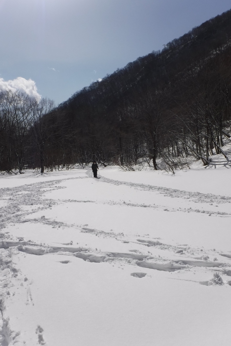 f:id:hirotaka72:20200224094818j:plain f:id:hirotaka72:20200224094818j:plain