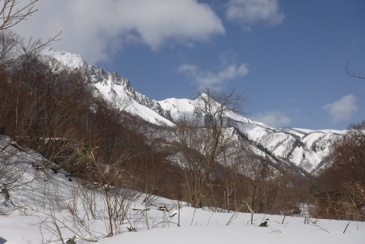 f:id:hirotaka72:20200224094846j:plain f:id:hirotaka72:20200224094846j:plain