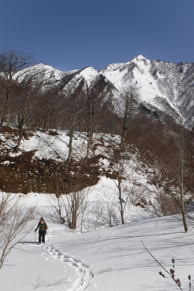 f:id:hirotaka72:20200224104632j:plain f:id:hirotaka72:20200224104632j:plain