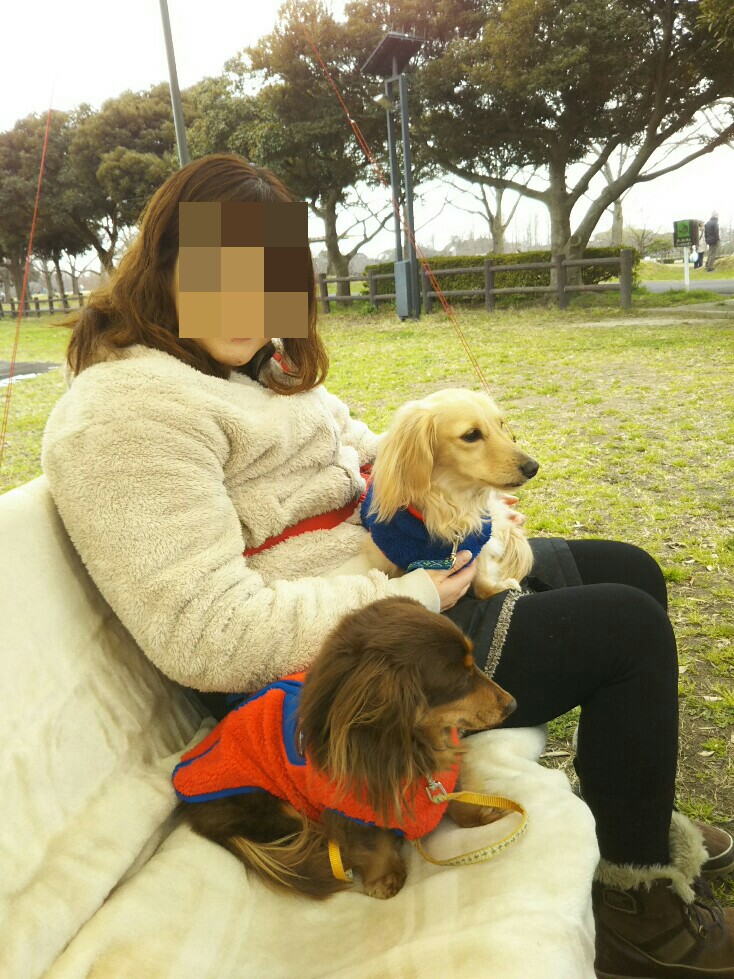 f:id:hirotaka72:20200307174735j:plain f:id:hirotaka72:20200307174735j:plain
