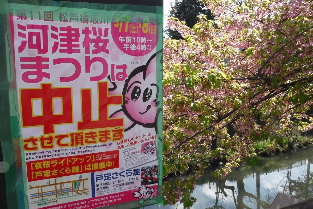 f:id:hirotaka72:20200315141456j:plain f:id:hirotaka72:20200315141456j:plain