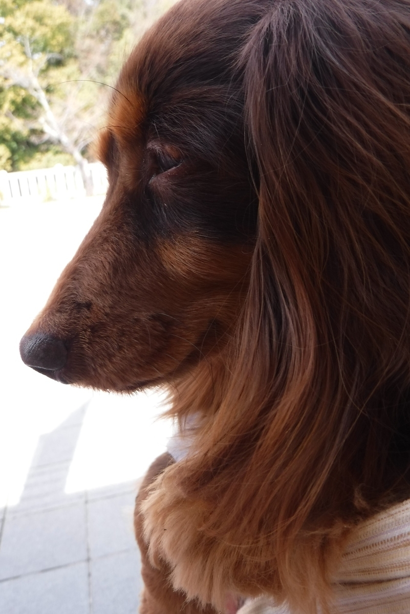f:id:hirotaka72:20200321123156j:plain f:id:hirotaka72:20200321123156j:plain