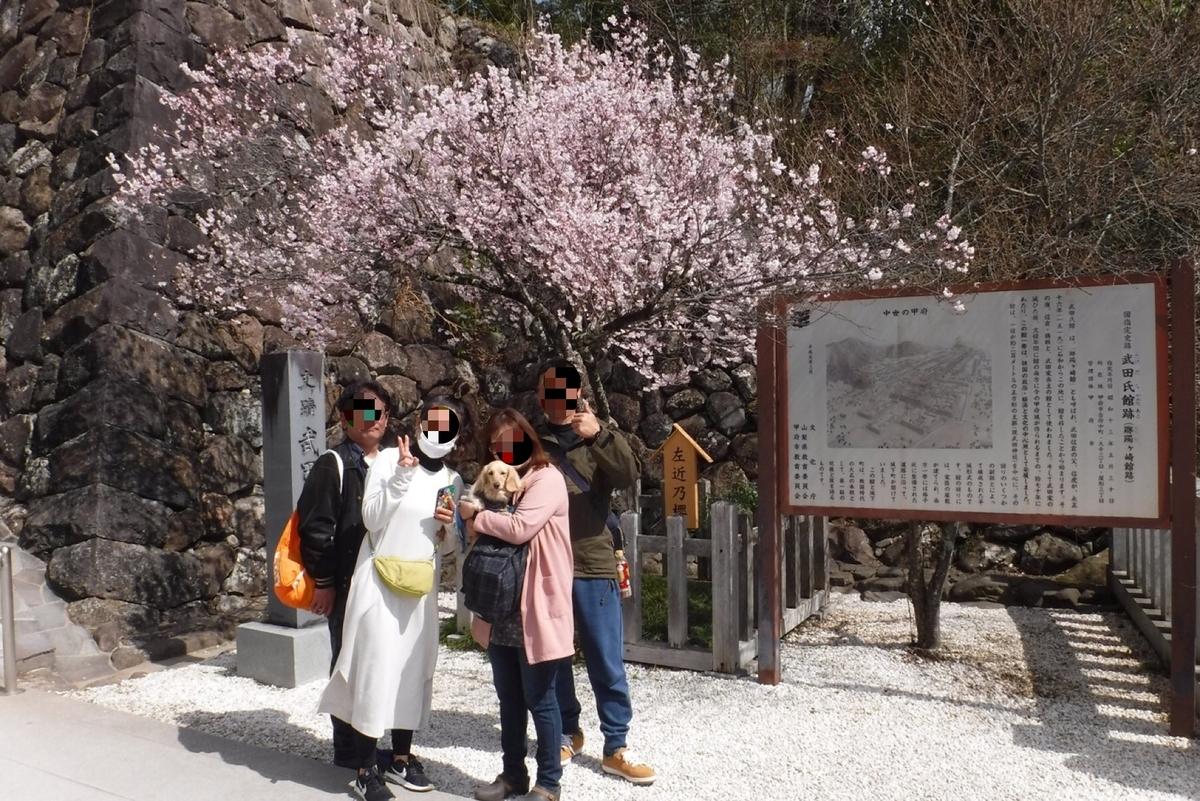 f:id:hirotaka72:20200324204116j:plain f:id:hirotaka72:20200324204116j:plain