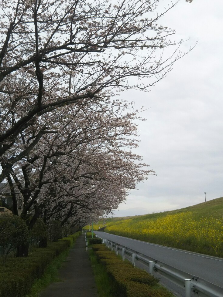 f:id:hirotaka72:20200328101502j:plain f:id:hirotaka72:20200328101502j:plain