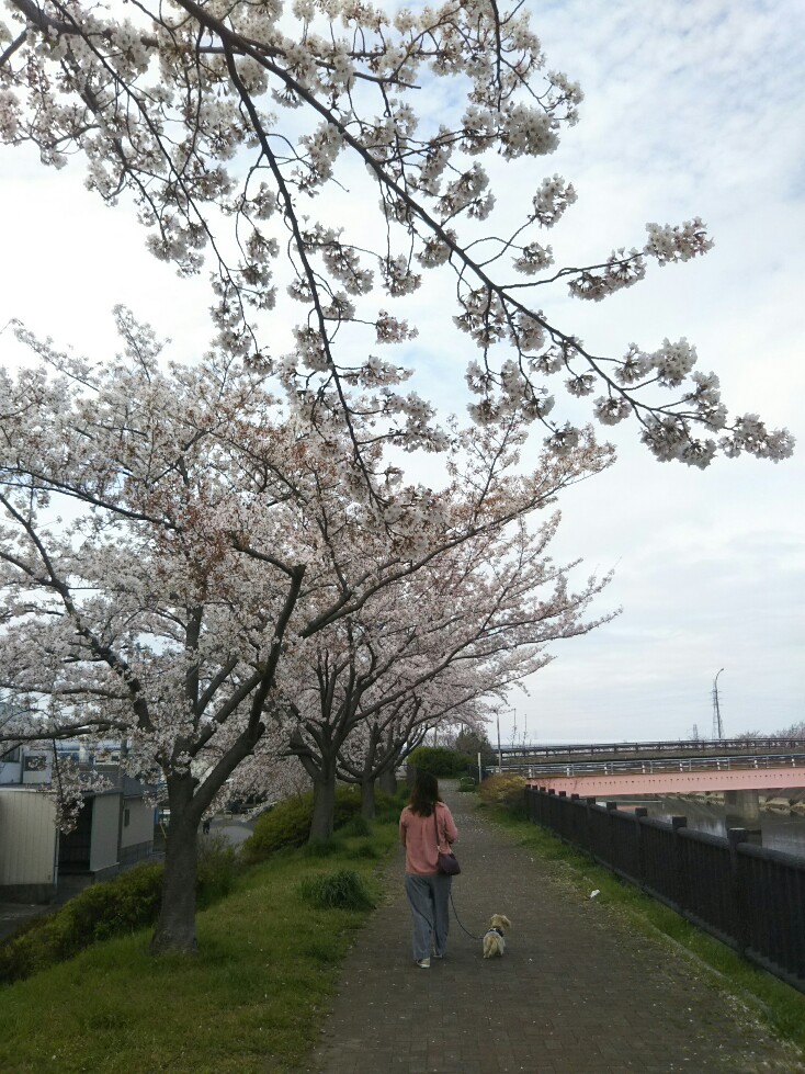 f:id:hirotaka72:20200328102844j:plain f:id:hirotaka72:20200328102844j:plain