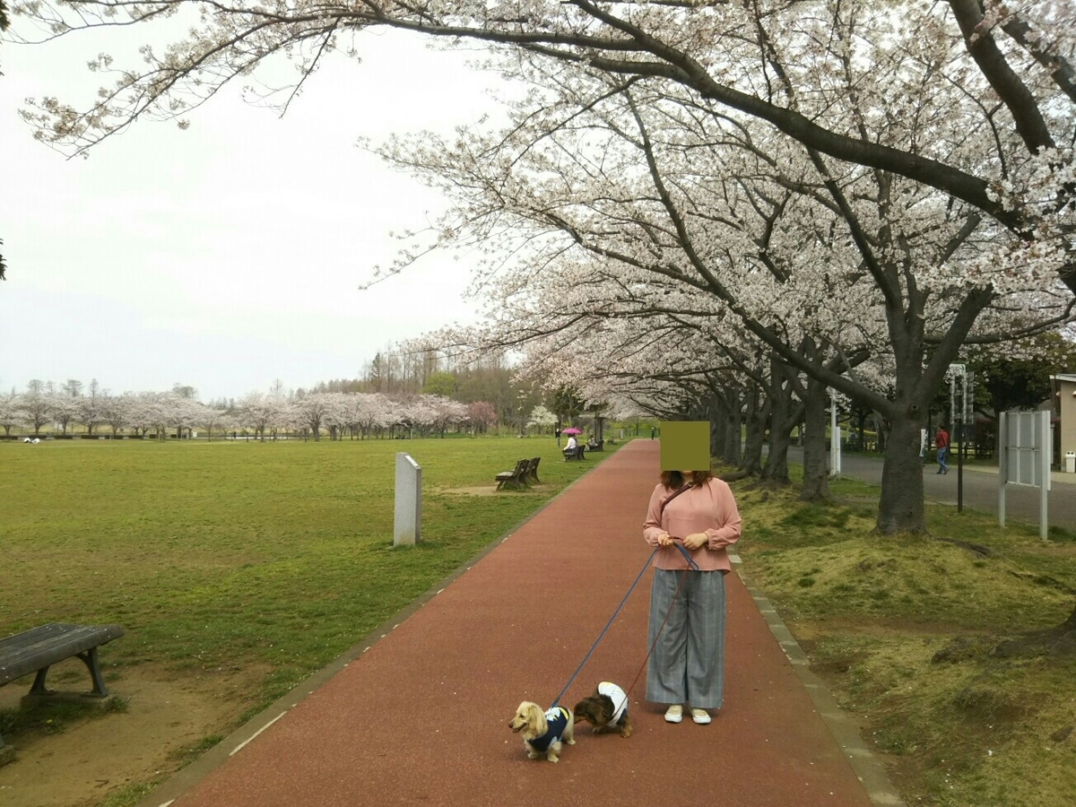 f:id:hirotaka72:20200328110900j:plain f:id:hirotaka72:20200328110900j:plain