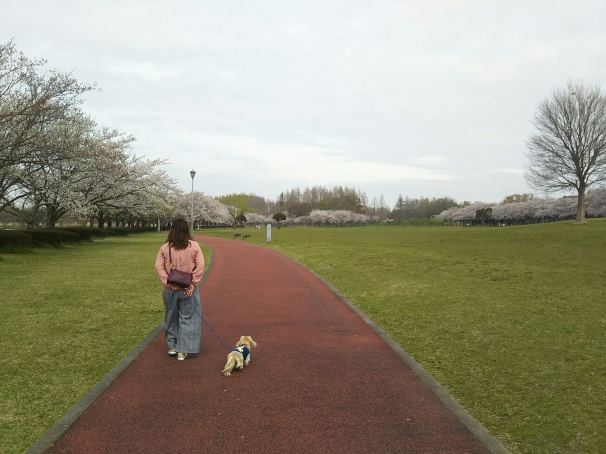 f:id:hirotaka72:20200328111356j:plain f:id:hirotaka72:20200328111356j:plain