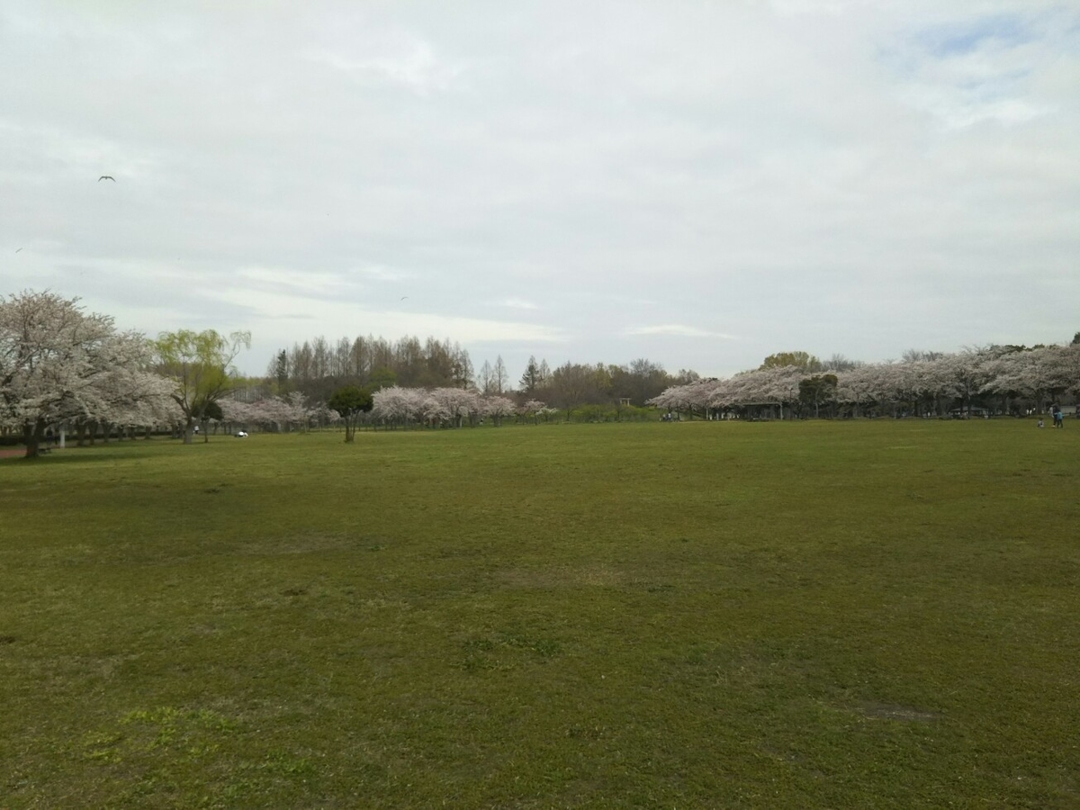 f:id:hirotaka72:20200328111547j:plain f:id:hirotaka72:20200328111547j:plain