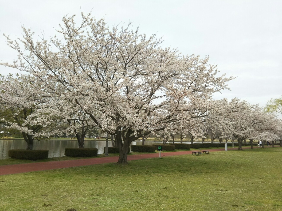 f:id:hirotaka72:20200328111639j:plain f:id:hirotaka72:20200328111639j:plain