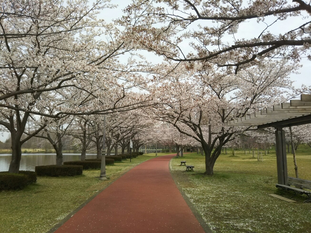f:id:hirotaka72:20200328112136j:plain f:id:hirotaka72:20200328112136j:plain