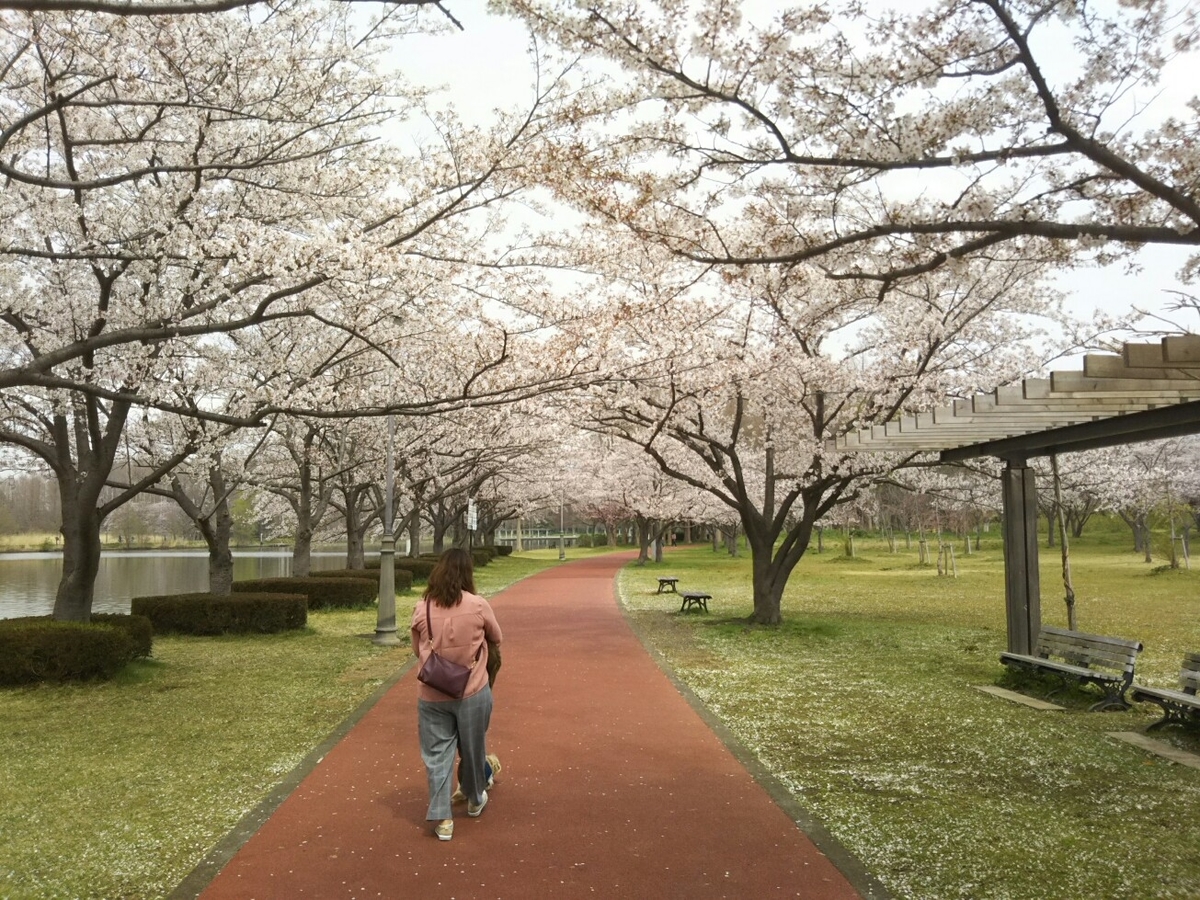 f:id:hirotaka72:20200328112154j:plain f:id:hirotaka72:20200328112154j:plain