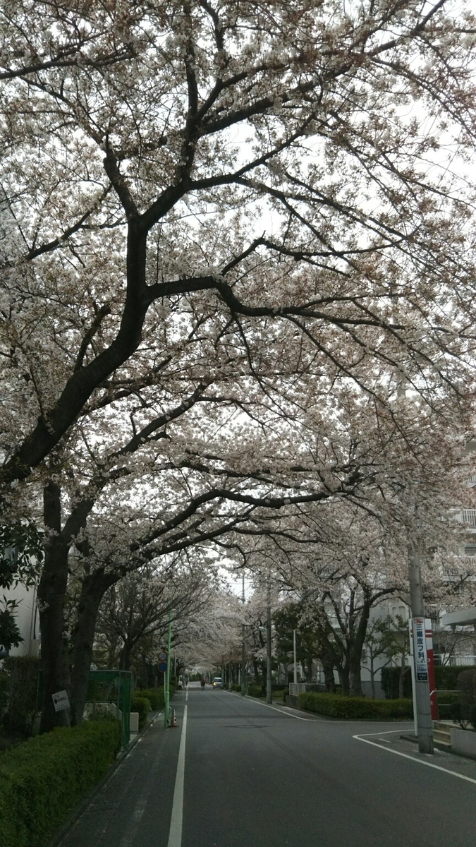 f:id:hirotaka72:20200328150147j:plain f:id:hirotaka72:20200328150147j:plain