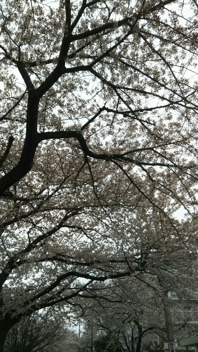 f:id:hirotaka72:20200328150157j:plain f:id:hirotaka72:20200328150157j:plain