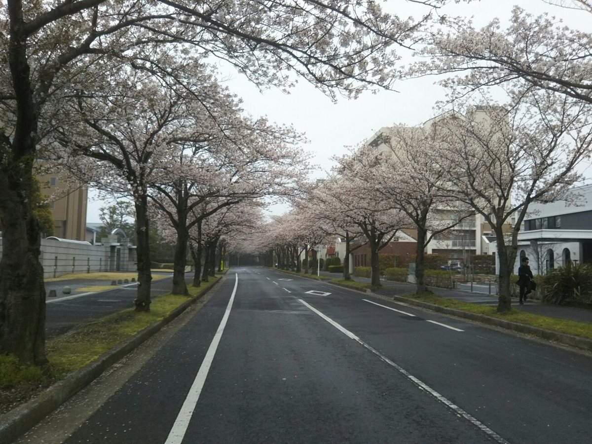 f:id:hirotaka72:20200401072705j:plain