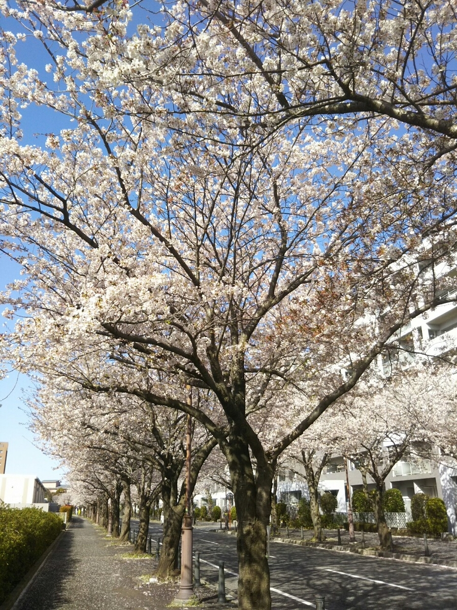 f:id:hirotaka72:20200402082620j:plain f:id:hirotaka72:20200402082620j:plain
