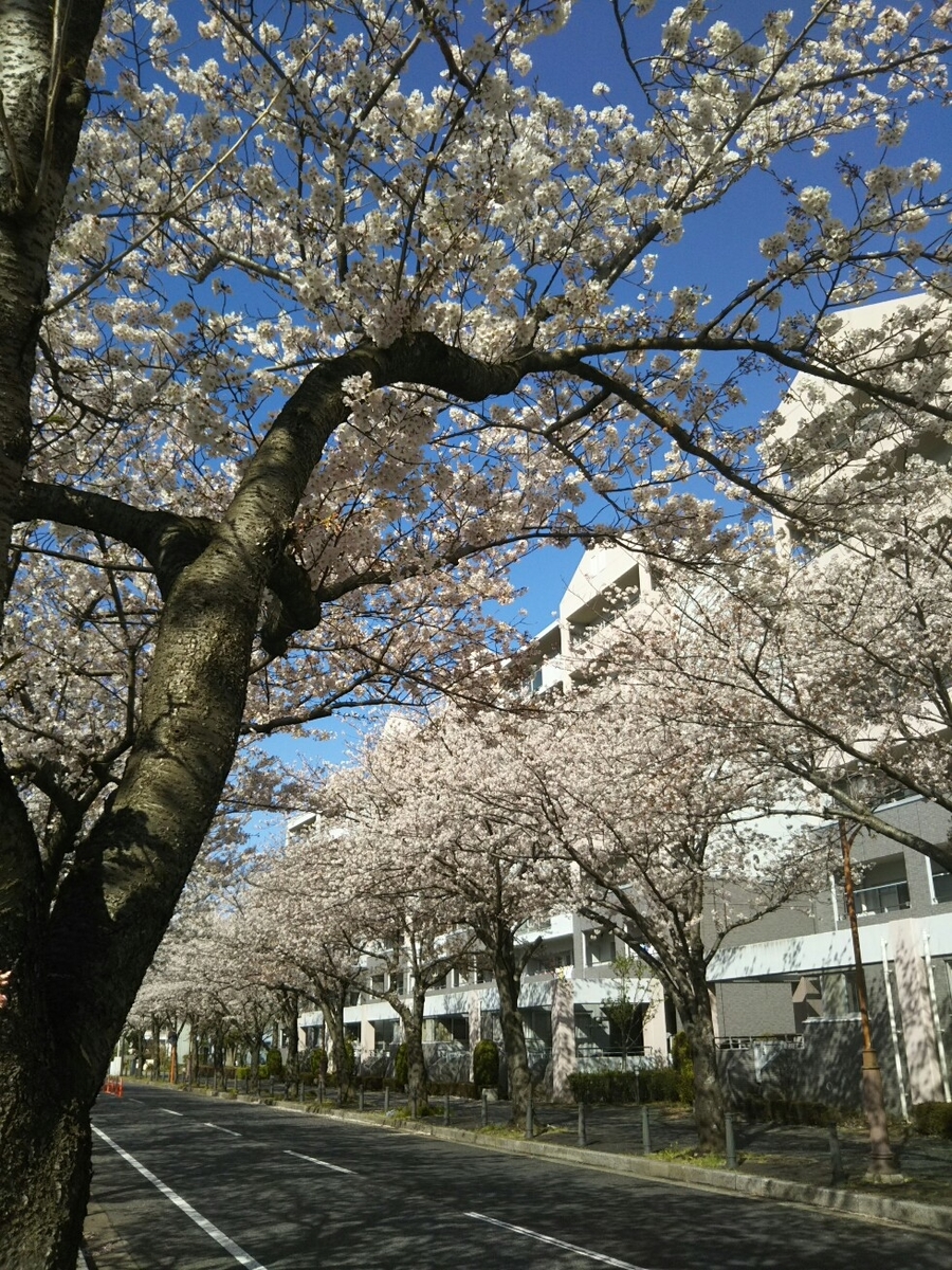 f:id:hirotaka72:20200402082707j:plain f:id:hirotaka72:20200402082707j:plain