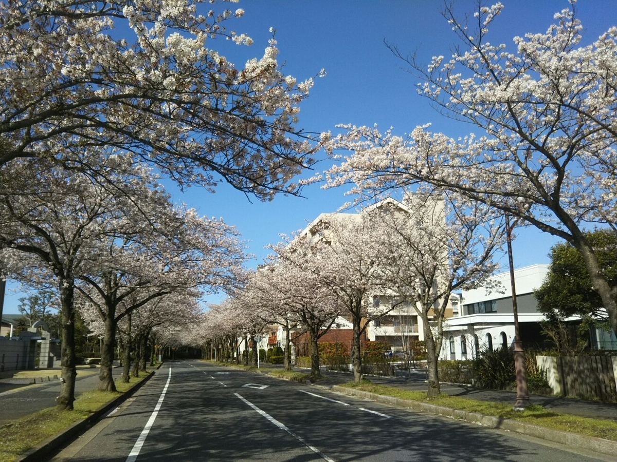 f:id:hirotaka72:20200402082830j:plain f:id:hirotaka72:20200402082830j:plain