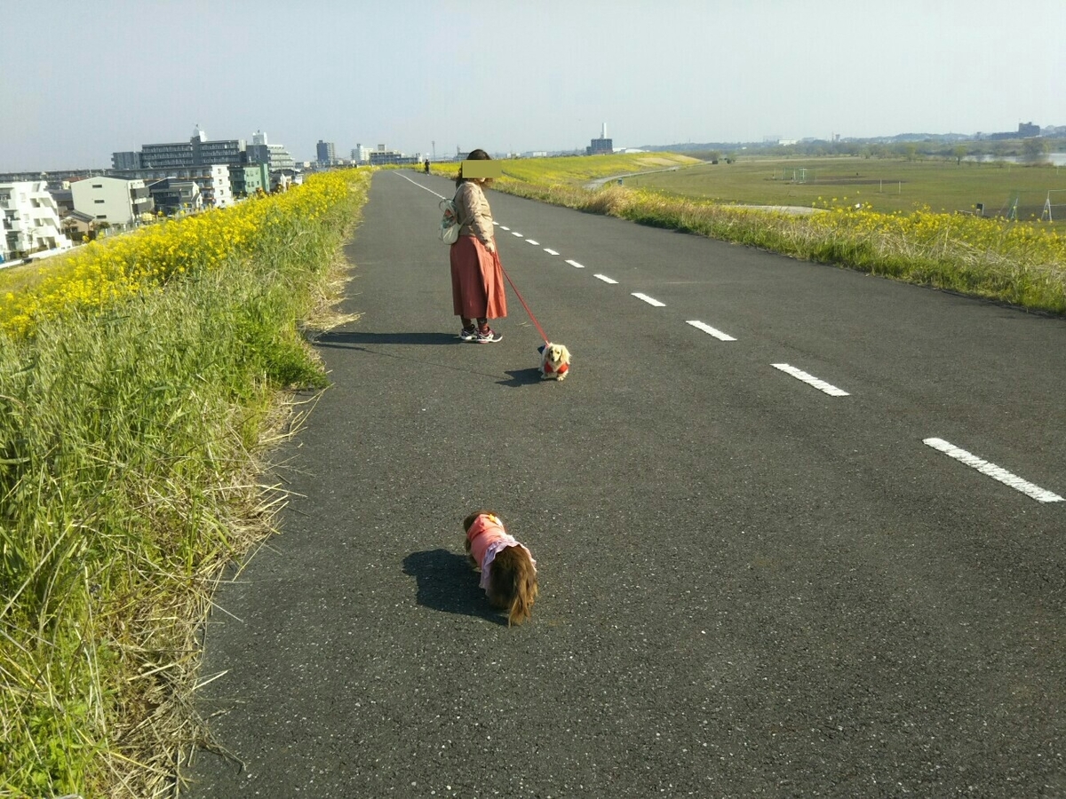 f:id:hirotaka72:20200404081718j:plain