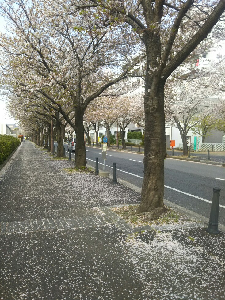 f:id:hirotaka72:20200408082623j:plain