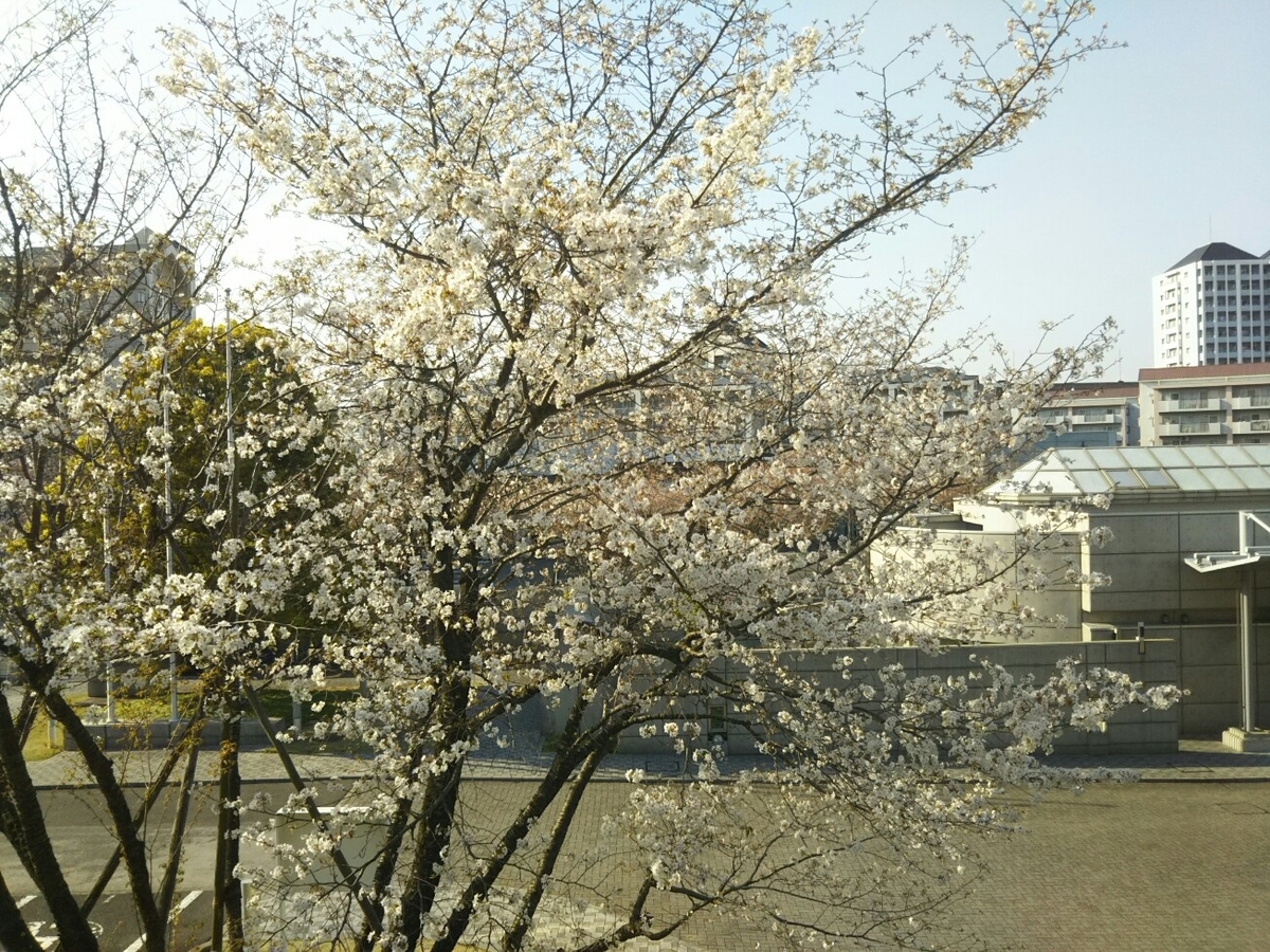 f:id:hirotaka72:20200408153248j:plain