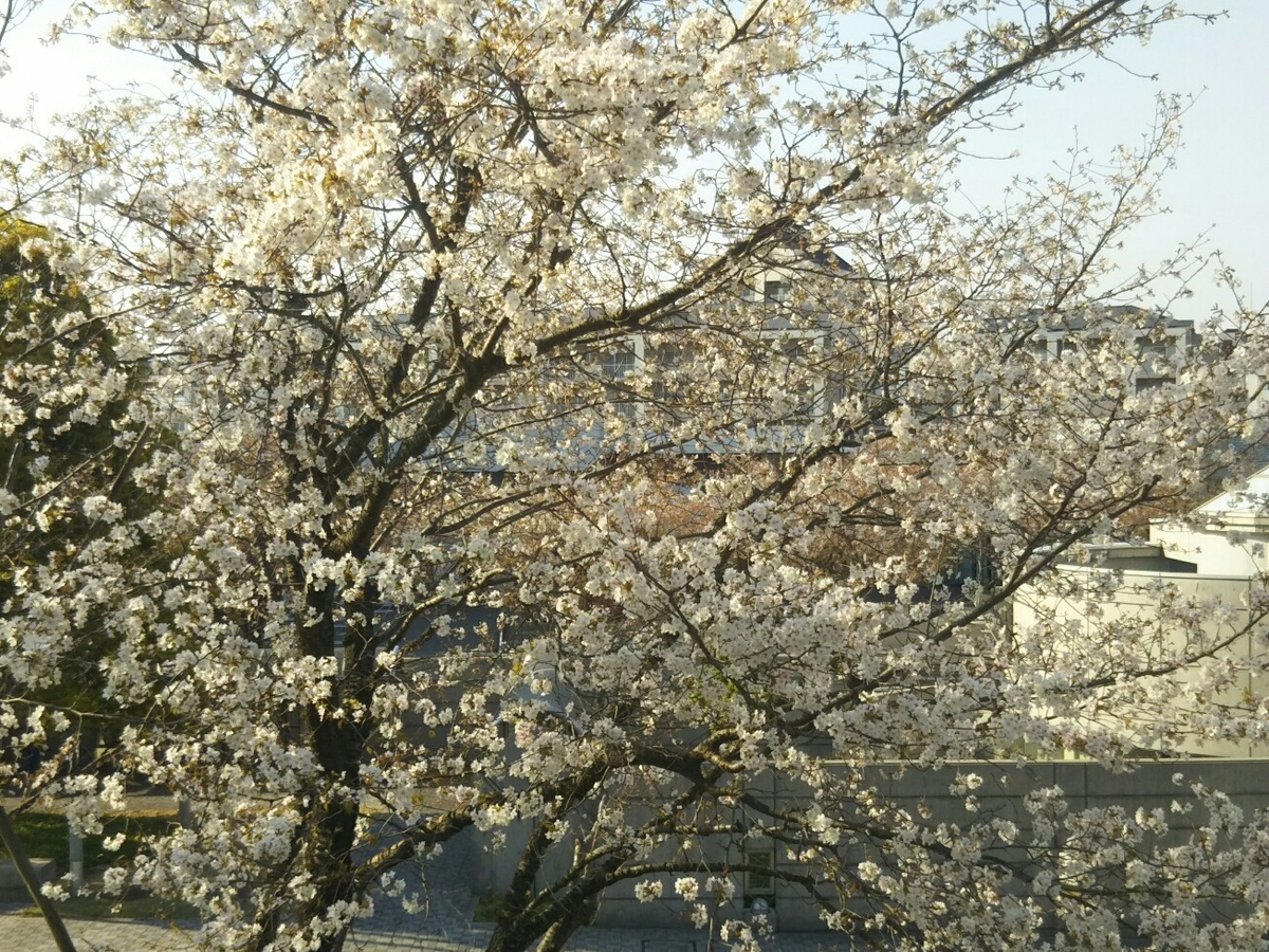 f:id:hirotaka72:20200408153254j:plain