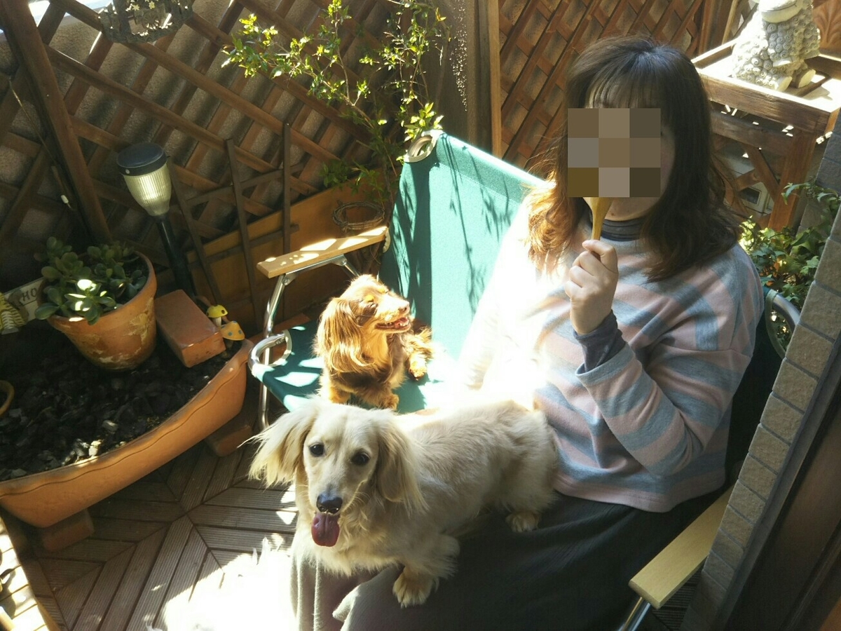 f:id:hirotaka72:20200411120219j:plain f:id:hirotaka72:20200411120219j:plain