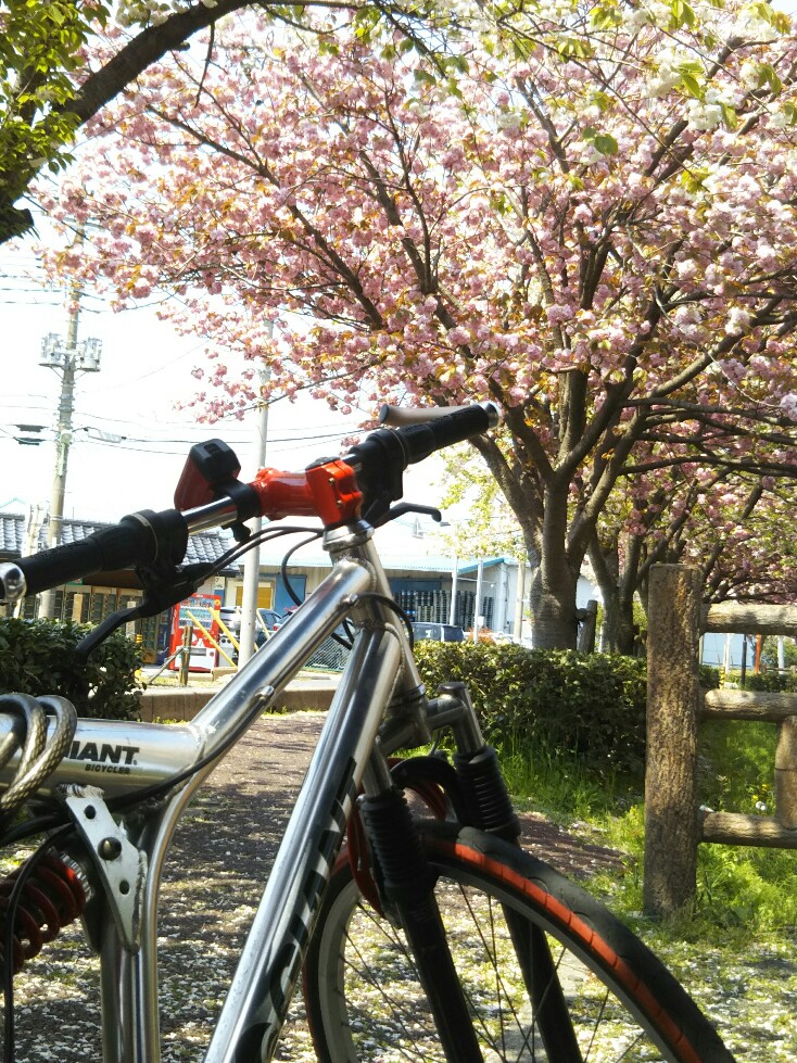 f:id:hirotaka72:20200415123100j:plain f:id:hirotaka72:20200415123100j:plain