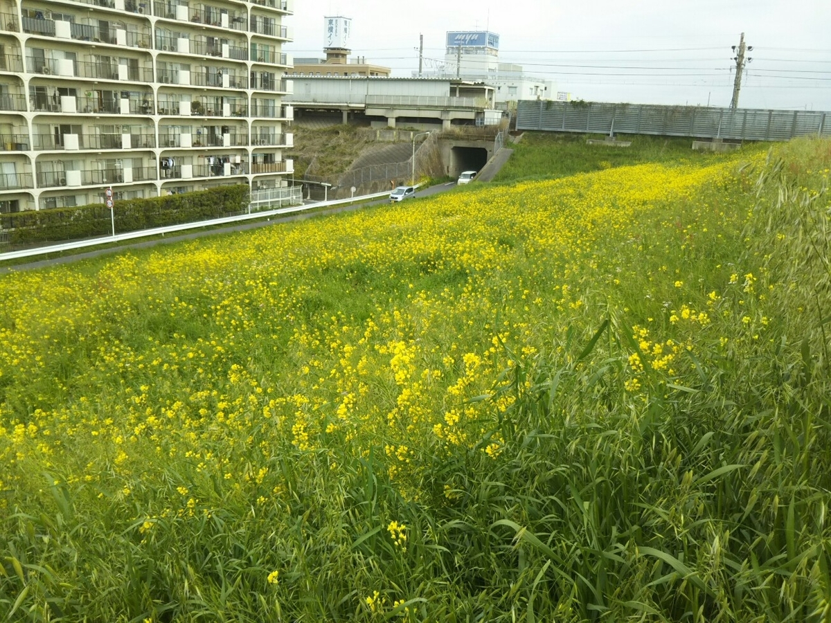 f:id:hirotaka72:20200417073935j:plain