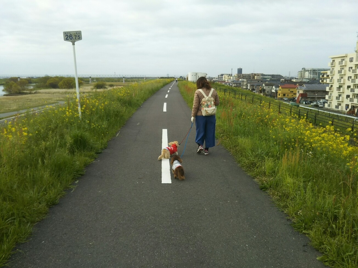 f:id:hirotaka72:20200417074012j:plain