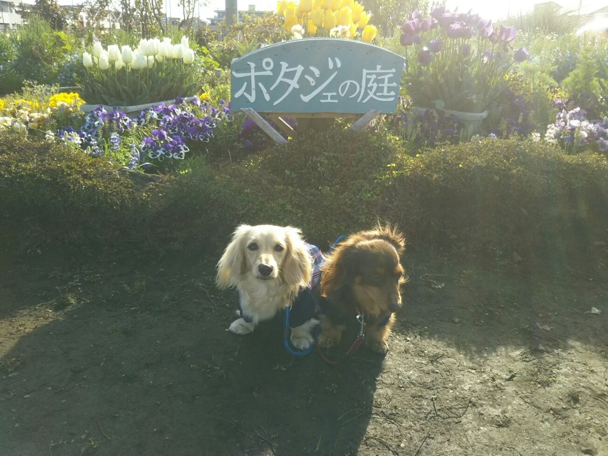 f:id:hirotaka72:20200423070523j:plain